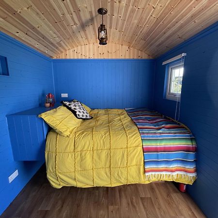 Shepherds Hut - Brecon Beacons Llangadog Екстер'єр фото